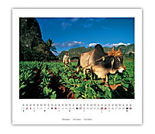 Cuba Kalender 2010