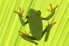 Fotoreise