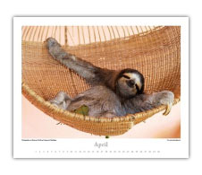 Costa Rica Kalender mit Dauerkalendarium