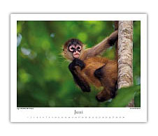 Costa Rica Kalender mit Dauerkalendarium